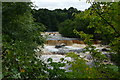 SE0188 : The River Ure at Aysgarth Upper Falls by Graham Hogg