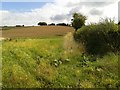 Field near Crac