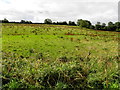 Scallen Townland