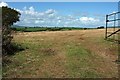 Field, Wastor Park