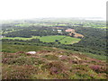 Parkland at Mourne Park House viewed from Knockchree