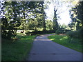 Bend in Grainsby Lane