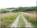 Track going south from Turnpike Road