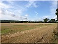 View from path towards Wilstead