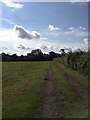 View near Firtree Hill Farm