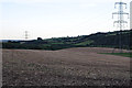 North Devon : Grassy Field & Pylons