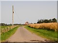 Farm road to Wester Logie near Kirriemuir