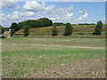 Farmland, Swinhope