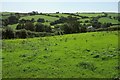 View over Boarshill