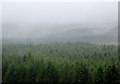 SN7353 : Elenydd moorland and forest in the cloud, Ceredigion by Roger  D Kidd