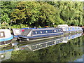 Pickle, narrowboat on Paddington Branch canal