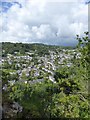 Gunnislake from Chimney Rock