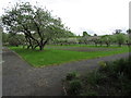 N5406 : Emo Court near Port Laoise - Orchard in walled garden by Colin Park