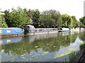 Serenity, narrowboat on Paddington Branch canal