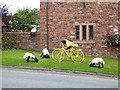 The yellow bikes of Langwathby (1)