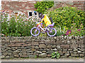 The yellow bikes of Langwathby (11)