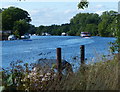 The River Thames at Teddington