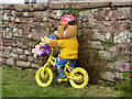 NY6137 : The yellow bikes of Melmerby (22) by Oliver Dixon