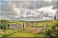 Sheepfold near Cwm Gwaun