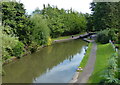 Stratford-upon-Avon Canal at Kingswood