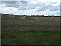 TF2993 : Farmland, North Ormsby by JThomas