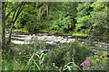 The River Nith