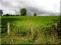 Faccary Townland