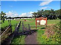 Llwybr Bryn Carnarfon / Bryn Carnarfon  path