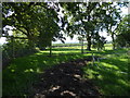 Bridleway turns corner of the field in vineyard