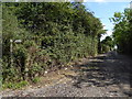 Track heading east from Broadford Bridge Road