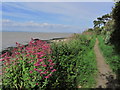 Portishead - On coastal path between Black Nore Lighthouse & Sugar Loaf Beach