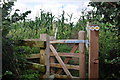 Taunton Deane District : Gate & Footpath