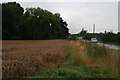 Wet wheat on a wet weekend: Brigg Road, North Kelsey