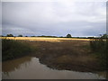 Field and flood by Plummers Lane, Peters Green