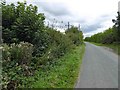 Fenwick Lane near Askern