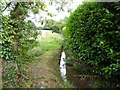 Footpath by stream off Coolham Road