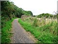 Footpath curving east towards Wood Lane