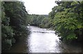 River Tamar below Greystone Bridge