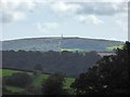SX3771 : Kit Hill seen from Greystone Quarry by David Smith