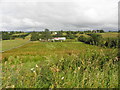 Drumchorick Townland