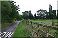 Horse paddocks on a lane southwest of Searby