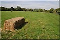 SU6179 : A straw bale in a silage field by Philip Halling