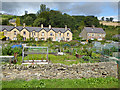 Allotments on Station Road, Haydon Bridge