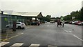 Swindon Garden Centre, 2