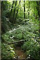 Stream  Near Tanyard Farm