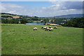 SP0026 : Sheep by Postlip Hall Farm by Bill Boaden