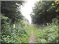 Path in Chiswell Green