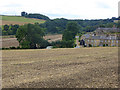 Houses and fields at Butt Bank, Fourstones