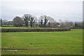 Farmland, Stretton Heath