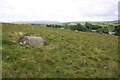 Large boulder at Scout Green